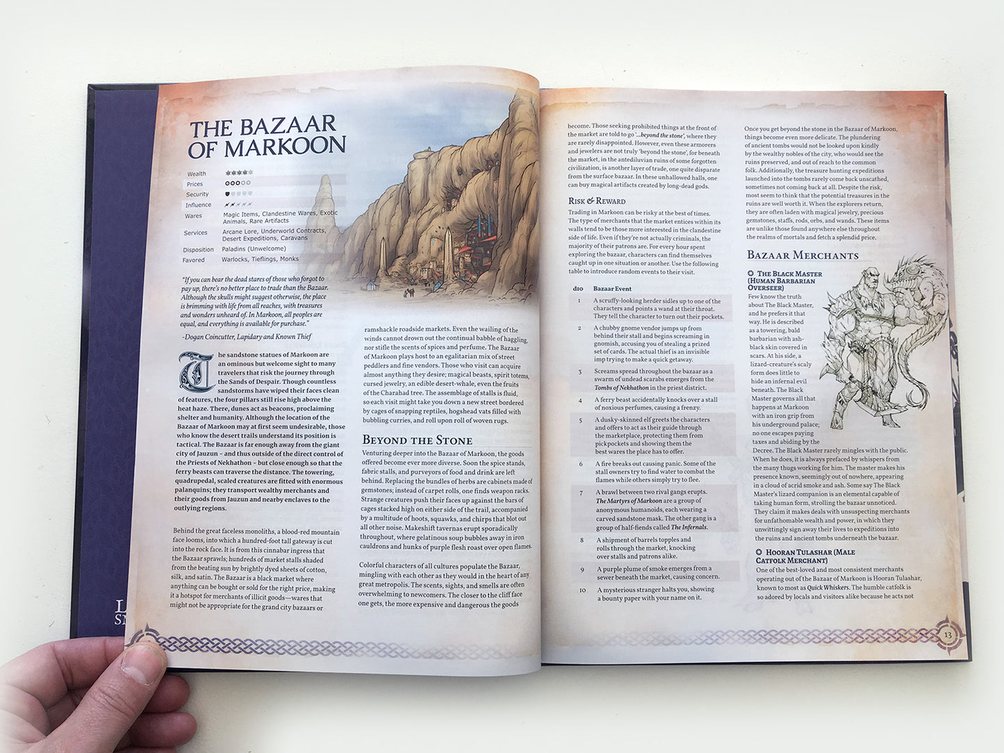 Remarkable Shops & Their Wares (Softcover)