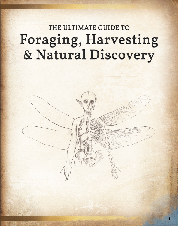 Foraging, Harvesting & Natural Discovery PDF (5E)
